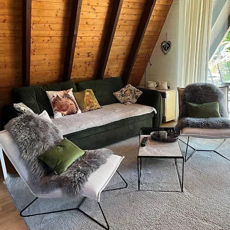 Eichhoernchen-in Der Zuhause-ferienhaus Mit Fass Sauna Im Garten Und Moderner Klimaanlage Vakantiehuis