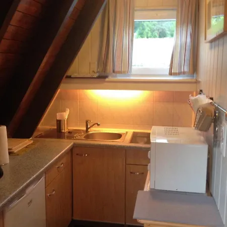 Eichhoernchen-in Der Zuhause-ferienhaus Mit Fass Sauna Im Garten Und Moderner Klimaanlage Vakantiehuis