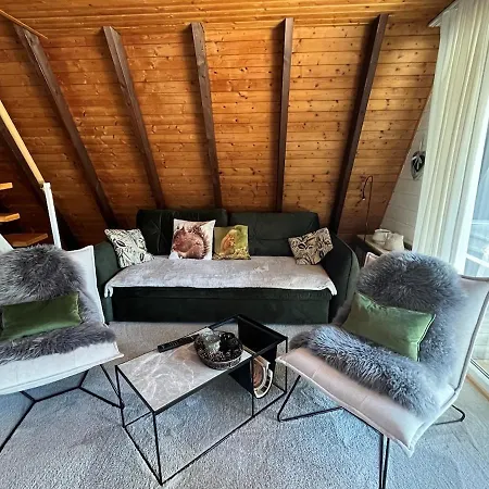 Eichhoernchen-in Der Zuhause-ferienhaus Mit Fass Sauna Im Garten Und Moderner Klimaanlage Vakantiehuis